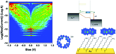 Graphical abstract: Charge transport through redox active [H7P8W48O184]33− polyoxometalates self-assembled onto gold surfaces and gold nanodots