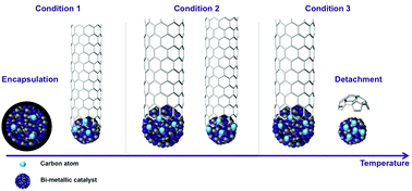 Graphical abstract: Tuning bimetallic catalysts for a selective growth of SWCNTs