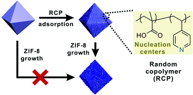 Graphical abstract: Seaming the interfaces between topologically distinct metal–organic frameworks using random copolymer glues