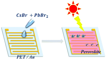 Graphical abstract: Low-temperature processed inorganic perovskites for flexible detectors with a broadband photoresponse