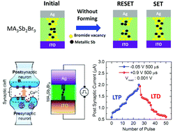 Graphical abstract: Perovskite-related (CH3NH3)3Sb2Br9 for forming-free memristor and low-energy-consuming neuromorphic computing