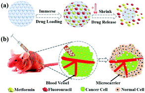 Graphical abstract: A responsive porous hydrogel particle-based delivery system for oncotherapy