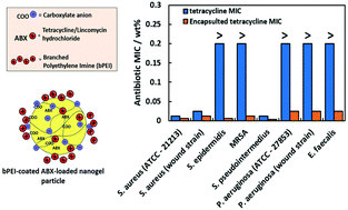 Graphical abstract: Breathing new life into old antibiotics: overcoming antibacterial resistance by antibiotic-loaded nanogel carriers with cationic surface functionality