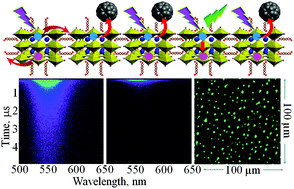 Graphical abstract: Photoinduced photoluminescence enhancement in self-assembled clusters of formamidinium lead bromide perovskite nanocrystals