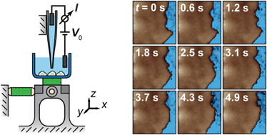 Graphical abstract: High-speed scanning ion conductance microscopy for sub-second topography imaging of live cells