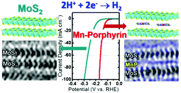Graphical abstract: Two dimensional MoS2 meets porphyrins via intercalation to enhance the electrocatalytic activity toward hydrogen evolution