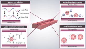 Graphical abstract: Ion-induced assemblies of highly anisotropic nanoparticles are governed by ion–ion correlation and specific ion effects