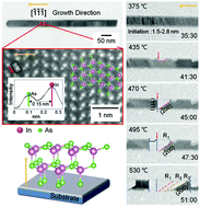 Graphical abstract: Anisotropic atomistic evolution during the sublimation of polar InAs nanowires