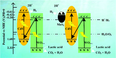 Graphical abstract: Oxygen deficiency introduced to Z-scheme CdS/WO3−x nanomaterials with MoS2 as the cocatalyst towards enhancing visible-light-driven hydrogen evolution