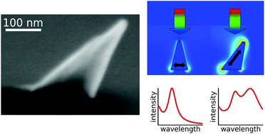 Graphical abstract: Plasmonic mode conversion in individual tilted 3D nanostructures
