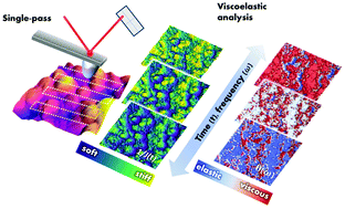 Graphical abstract: Acquisition of time–frequency localized mechanical properties of biofilms and single cells with high spatial resolution