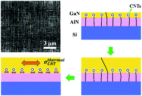 Graphical abstract: Coordinated stress management and dislocation control in GaN growth on Si (111) substrates by using a carbon nanotube mask