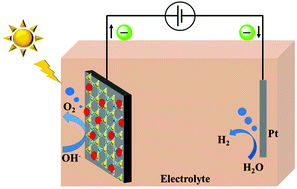 Graphical abstract: Ultrathin MoS2 nanosheets for high-performance photoelectrochemical applications via plasmonic coupling with Au nanocrystals