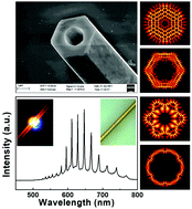Graphical abstract: Growth of CdS nanotubes and their strong optical microcavity effects