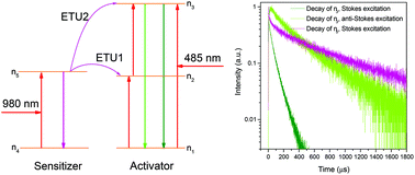 Graphical abstract: On the decay time of upconversion luminescence