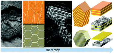 Graphical abstract: Biomimetic hard and tough nanoceramic Ti–Al–N film with self-assembled six-level hierarchy