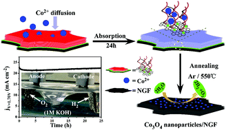 Graphical abstract: Methacrylated gelatin-embedded fabrication of 3D graphene-supported Co3O4 nanoparticles for water splitting