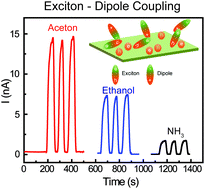 Graphical abstract: Exciton–dipole coupling in two-dimensional rubrene assembly sensors