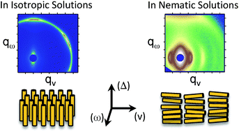 Graphical abstract: Phase-dependent shear-induced order of nanorods in isotropic and nematic wormlike micelle solutions