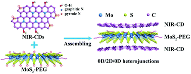 Graphical abstract: Carbon dot-sensitized MoS2 nanosheet heterojunctions as highly efficient NIR photothermal agents for complete tumor ablation at an ultralow laser exposure