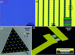 Graphical abstract: The effect of strain on effective Duffing nonlinearity in the CVD-MoS2 resonator