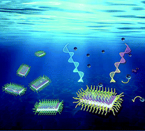 Graphical abstract: Chiral CdSe nanoplatelets as an ultrasensitive probe for lead ion sensing