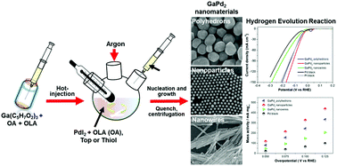 Graphical abstract: The shape-controlled synthesis of gallium–palladium (GaPd2) nanomaterials as high-performance electrocatalysts for the hydrogen evolution reaction