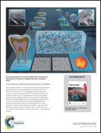 Graphical abstract: Inside back cover