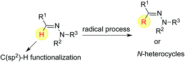Graphical abstract: C(sp2)–H functionalization of aldehyde-derived hydrazones via a radical process