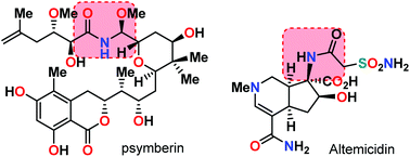 Graphical abstract: The Curtius rearrangement: mechanistic insight and recent applications in natural product syntheses