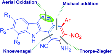 Graphical abstract: A new strategy for the synthesis of diverse benzo[a]carbazoles via a divergent catalytic Michael reaction