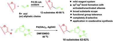 Graphical abstract: Cross dehydrogenative coupling of sugar enol ethers with terminal alkenes in the synthesis of pseudo-disaccharides, chiral oxadecalins and a conjugated triene