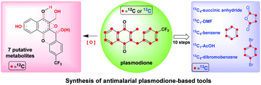 Graphical abstract: Synthesis of plasmodione metabolites and 13C-enriched plasmodione as chemical tools for drug metabolism investigation