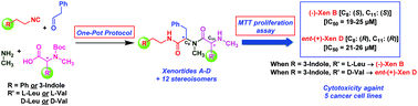 Graphical abstract: Efficient syntheses and anti-cancer activity of xenortides A–D including ent/epi-stereoisomers