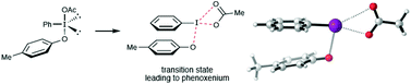 Graphical abstract: Concerning the mechanism of iodine(iii)-mediated oxidative dearomatization of phenols