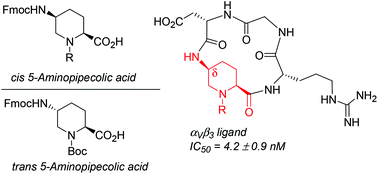 Graphical abstract: Stereodivergent synthesis of 5-aminopipecolic acids and application in the preparation of a cyclic RGD peptidomimetic as a nanomolar αVβ3 integrin ligand