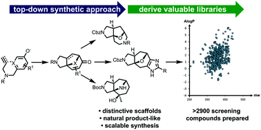 Graphical abstract: Realisation of small molecule libraries based on frameworks distantly related to natural products