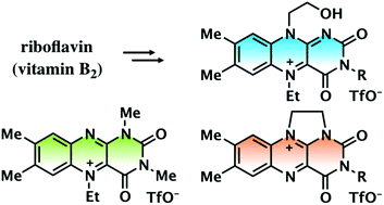 Graphical abstract: Comparison of riboflavin-derived flavinium salts applied to catalytic H2O2 oxidations