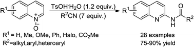 Graphical abstract: TsOH·H2O-mediated N-amidation of quinoline N-oxides: facile and regioselective synthesis of N-(quinolin-2-yl)amides