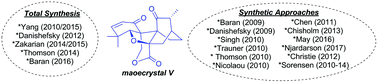 Graphical abstract: Review of synthetic approaches toward maoecrystal V