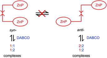 Graphical abstract: Molecular tweezers with a rotationally restricted linker and freely rotating porphyrin moieties