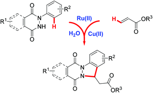 Graphical abstract: A ruthenium-catalyzed alkenylation–annulation approach for the synthesis of indazole derivatives via C–H bond activation
