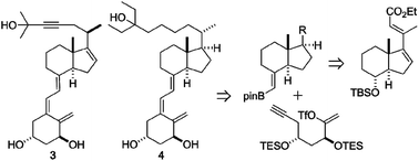 Graphical abstract: Total synthesis of 1α,25-dihydroxyvitamin D3 analogs modified at the side chain and D-ring