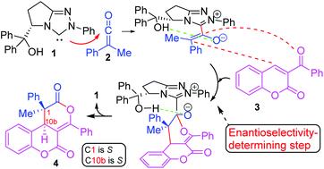 Graphical abstract: A theoretical study on NHC-catalysed enantioselective cycloaddition of ketenes and 3-aroylcoumarins: mechanism and enantioselectivity