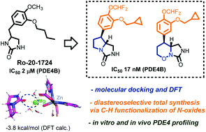 Graphical abstract: Diastereoselective synthesis and profiling of bicyclic imidazolidinone derivatives bearing a difluoromethylated catechol unit as potent phosphodiesterase 4 inhibitors