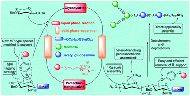 Graphical abstract: Ionic-liquid supported rapid synthesis of an N-glycan core pentasaccharide on a 10 g scale