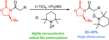 Graphical abstract: General and stereoselective aminoxylation of biradical titanium(iv) enolates with TEMPO: a detailed study on the effect of the chiral auxiliary