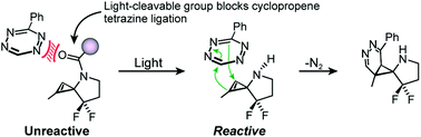 Graphical abstract: Caged cyclopropenes for controlling bioorthogonal reactivity
