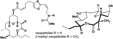 Graphical abstract: Conformation-guided analogue design identifies potential antimalarial compounds through inhibition of mitochondrial respiration