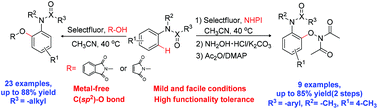 Graphical abstract: Selectfluor-induced C(sp2)–O coupling reaction of N-substituted anilines with hydroxylamine derivatives